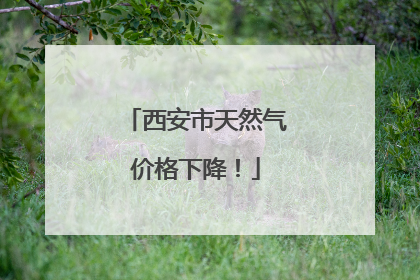 西安市天然气价格下降！