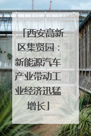 西安高新区集贤园：新能源汽车产业带动工业经济迅猛增长