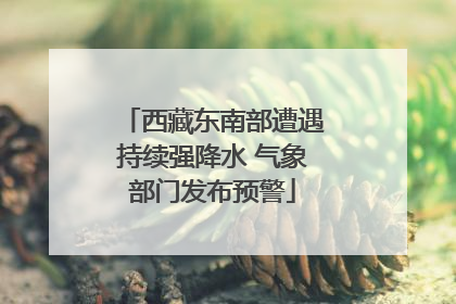 西藏东南部遭遇持续强降水 气象部门发布预警
