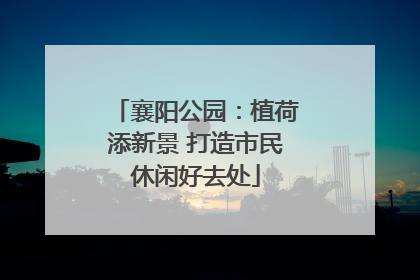 襄阳公园：植荷添新景 打造市民休闲好去处
