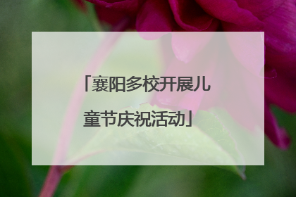 襄阳多校开展儿童节庆祝活动