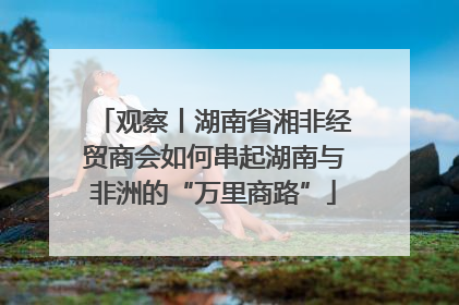观察丨湖南省湘非经贸商会如何串起湖南与非洲的“万里商路”