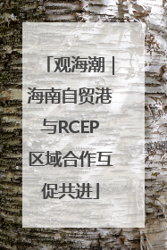 观海潮｜海南自贸港与RCEP区域合作互促共进