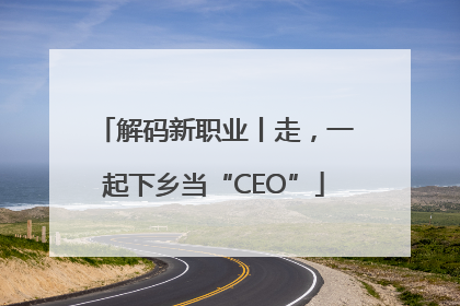 解码新职业丨走，一起下乡当“CEO”