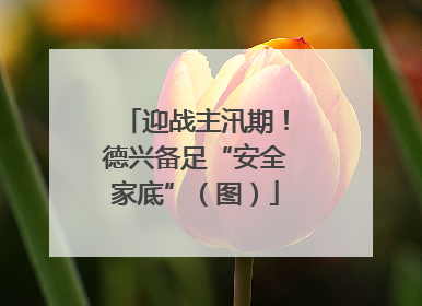 迎战主汛期！德兴备足“安全家底”（图）