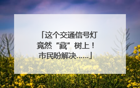 这个交通信号灯竟然“藏”树上！市民盼解决……