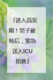 进入高发期！男子被咬后，紧急送入ICU抢救