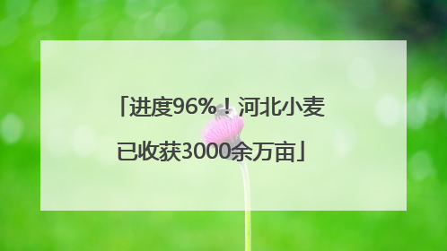 进度96%！河北小麦已收获3000余万亩