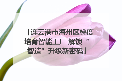 连云港市海州区梯度培育智能工厂 解锁“智造”升级新密码