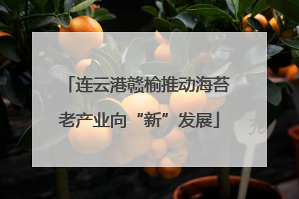 连云港赣榆推动海苔老产业向“新”发展