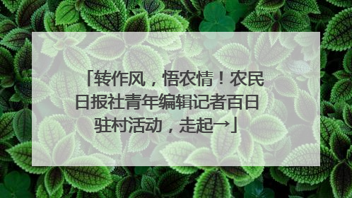 转作风，悟农情！农民日报社青年编辑记者百日驻村活动，走起→