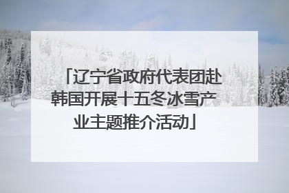 辽宁省政府代表团赴韩国开展十五冬冰雪产业主题推介活动