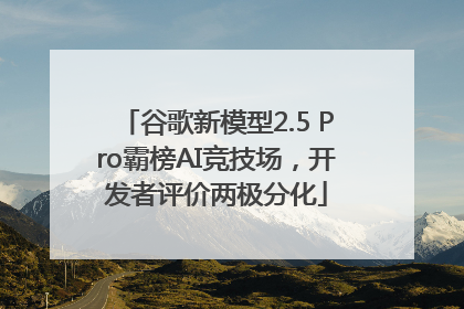 谷歌新模型2.5 Pro霸榜AI竞技场，开发者评价两极分化