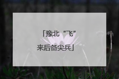 豫北“飞”来后备尖兵