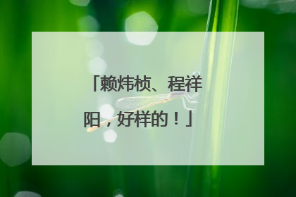 赖炜桢、程祥阳，好样的！