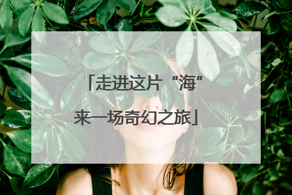 走进这片“海”来一场奇幻之旅