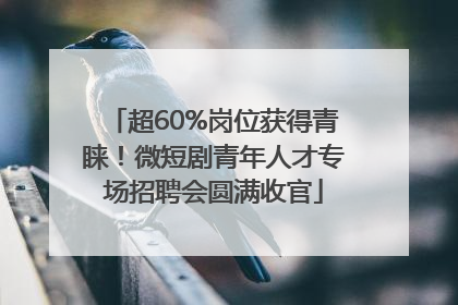 超60%岗位获得青睐！微短剧青年人才专场招聘会圆满收官