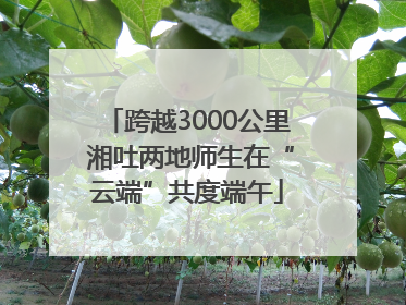 跨越3000公里 湘吐两地师生在“云端”共度端午