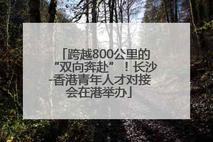 跨越800公里的“双向奔赴”！长沙-香港青年人才对接会在港举办