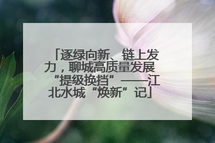 逐绿向新、链上发力，聊城高质量发展“提级换挡”——江北水城“焕新”记