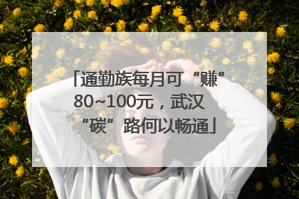 通勤族每月可“赚”80~100元，武汉“碳”路何以畅通