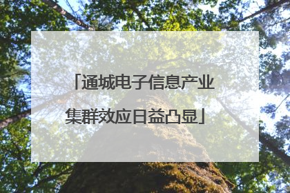 通城电子信息产业集群效应日益凸显