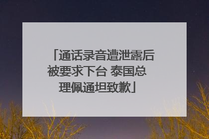 通话录音遭泄露后被要求下台 泰国总理佩通坦致歉