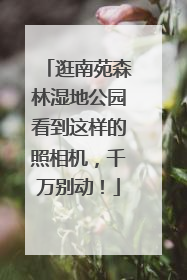 逛南苑森林湿地公园看到这样的照相机，千万别动！
