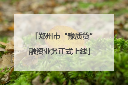郑州市“豫质贷”融资业务正式上线