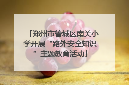 郑州市管城区南关小学开展“路外安全知识”主题教育活动