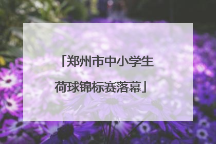 郑州市中小学生荷球锦标赛落幕