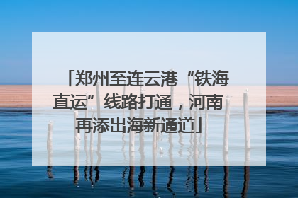 郑州至连云港“铁海直运”线路打通，河南再添出海新通道