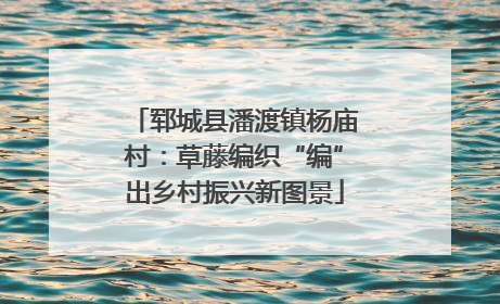 郓城县潘渡镇杨庙村：草藤编织“编”出乡村振兴新图景