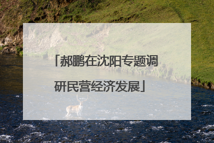 郝鹏在沈阳专题调研民营经济发展