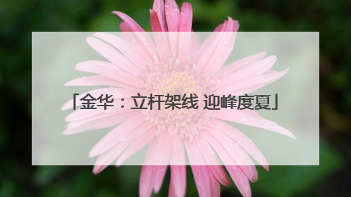 金华：立杆架线 迎峰度夏