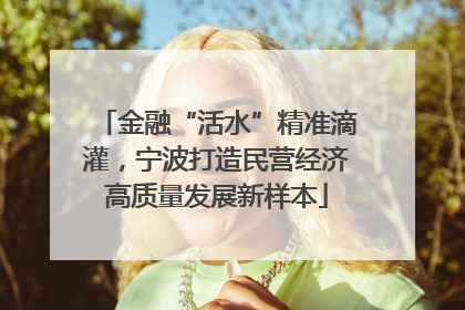 金融“活水”精准滴灌，宁波打造民营经济高质量发展新样本