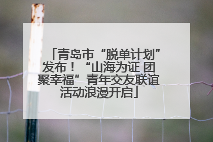青岛市“脱单计划”发布！“山海为证 团聚幸福”青年交友联谊活动浪漫开启