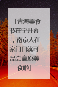 青海美食节在宁开幕，南京人在家门口就可品尝高原美食啦