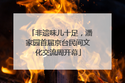 非遗味儿十足，潘家园首届京台民间文化交流周开幕