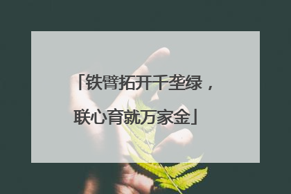 铁臂拓开千垄绿，联心育就万家金