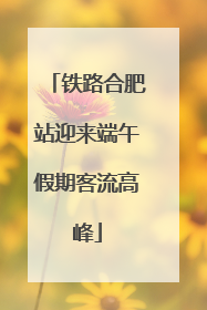 铁路合肥站迎来端午假期客流高峰