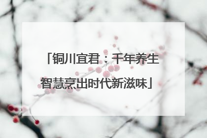 铜川宜君：千年养生智慧烹出时代新滋味