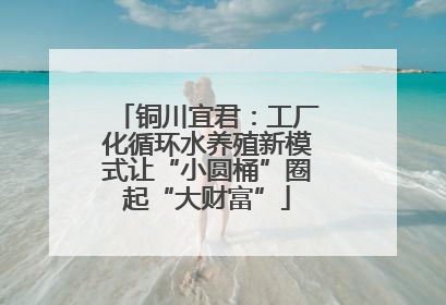 铜川宜君：工厂化循环水养殖新模式让“小圆桶”圈起“大财富”