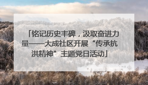 铭记历史丰碑，汲取奋进力量——大成社区开展“传承抗洪精神”主题党日活动