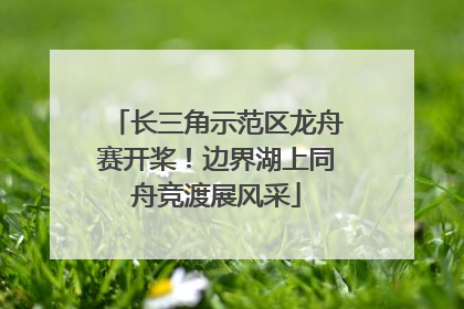 长三角示范区龙舟赛开桨！边界湖上同舟竞渡展风采
