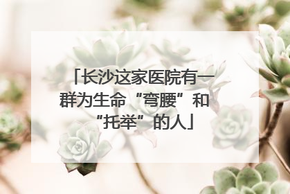 长沙这家医院有一群为生命“弯腰”和“托举”的人