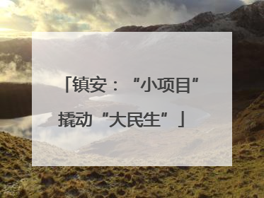 镇安：“小项目”撬动“大民生”