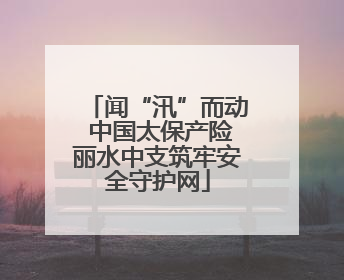 闻“汛”而动 中国太保产险丽水中支筑牢安全守护网