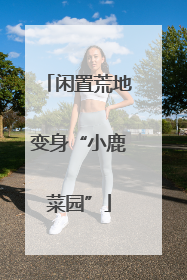 闲置荒地变身“小鹿菜园”