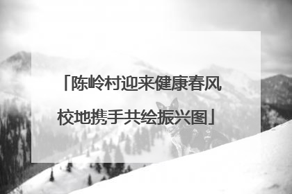 陈岭村迎来健康春风 校地携手共绘振兴图